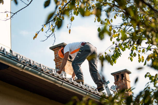 Best Metal Roofing Contractor  in Moyie Springs, ID