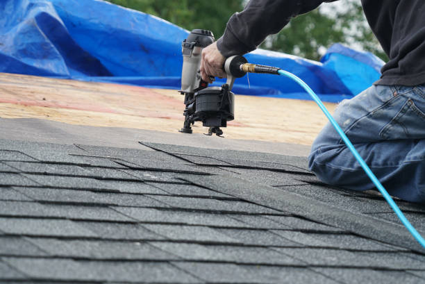Best Local Roofing Companies  in Moyie Springs, ID